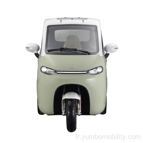 YBJJ1 1000 mm de largeur EEC Small Scooter Scooter électrique